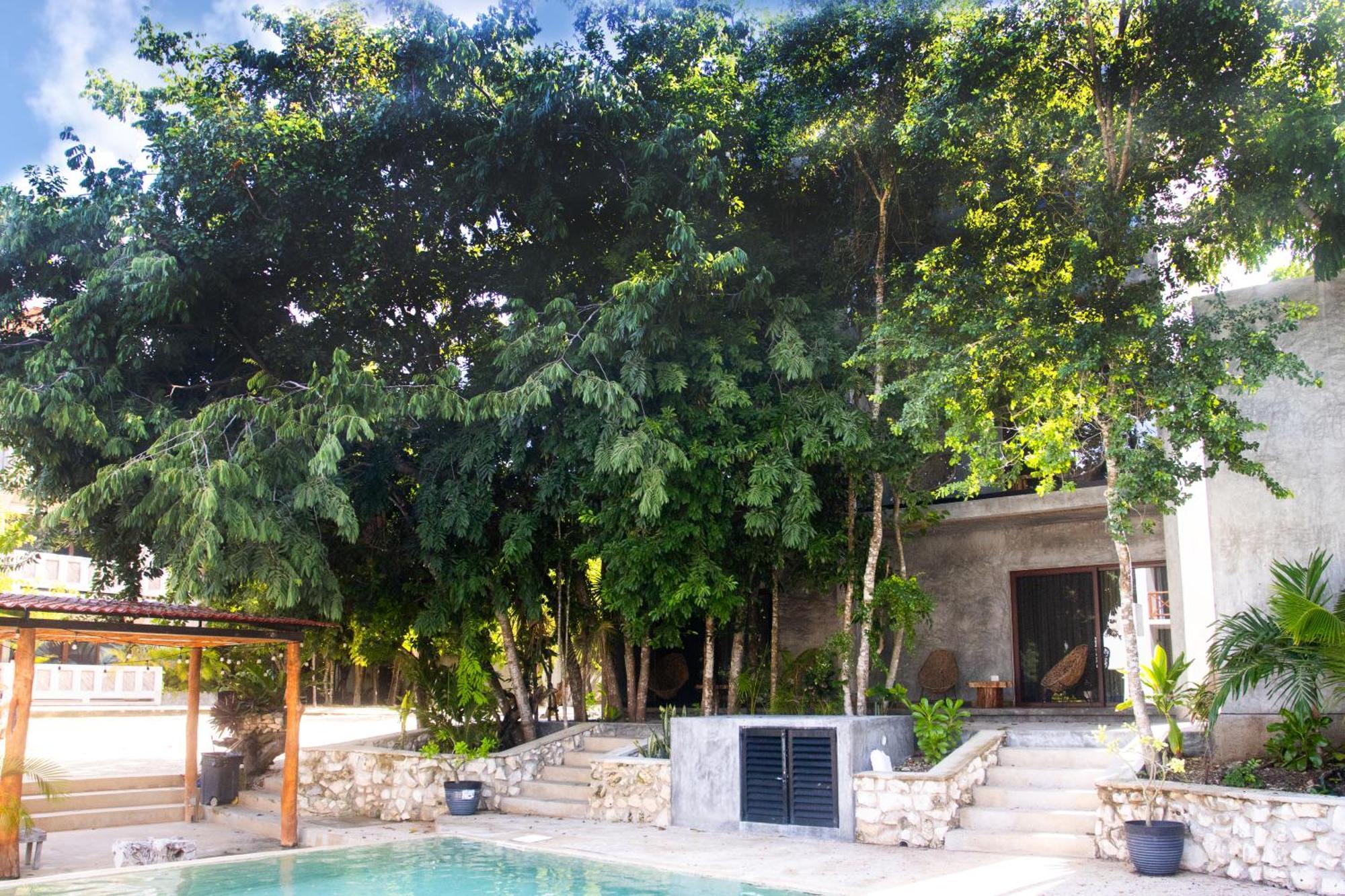 Hotel Casa Tortuga Tulum - Cenotes Park Inclusive Bagian luar foto Casa Periódica, Mérida, Yucatán, Mexico