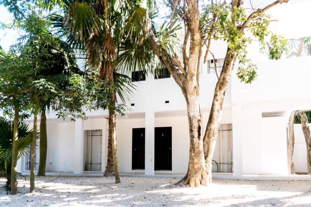 Hotel Casa Tortuga Tulum - Cenotes Park Inclusive Bagian luar foto The house of the writer, in Mérida, Yucatán.